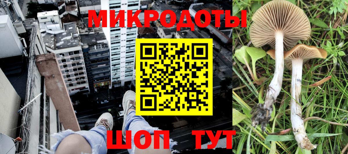 Галлюциногенные грибы Psilocybe  Вход с VPN  Курчатов 